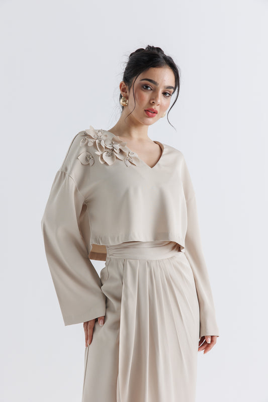 Floral Appliqué V-Neck Cropped Top