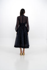 Radiant Elegance Stone-Embellished Sheer Midi Dress